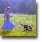 When the Deal Goes Down
Modern Times 2006. Official video