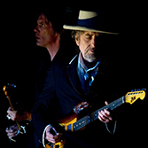 The Bob Dylan Pages, Essays.